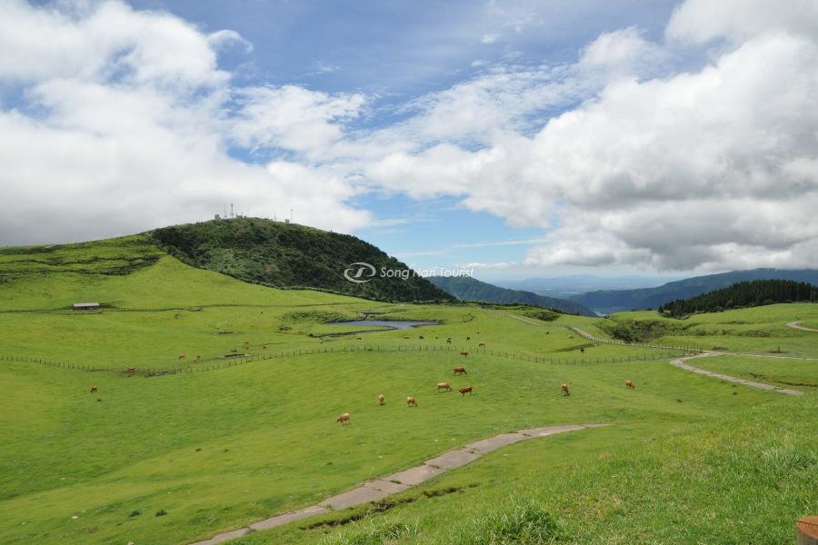  Ngắm nhìn thiên nhiên trong xanh tại thị trấn Kokonoe khi du lịch Oita