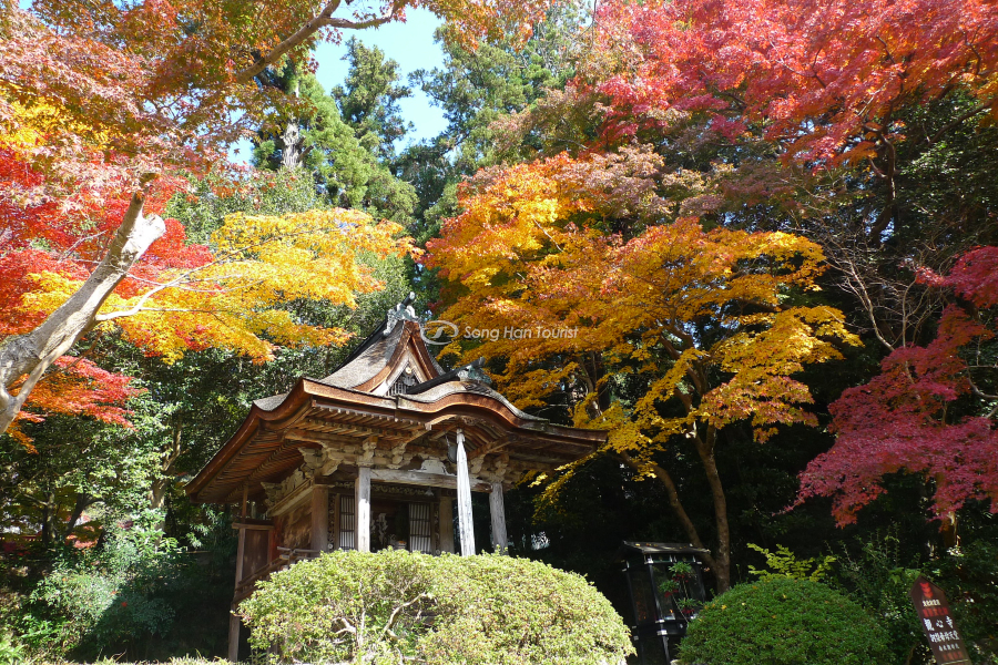 Spiritual temple every autumn