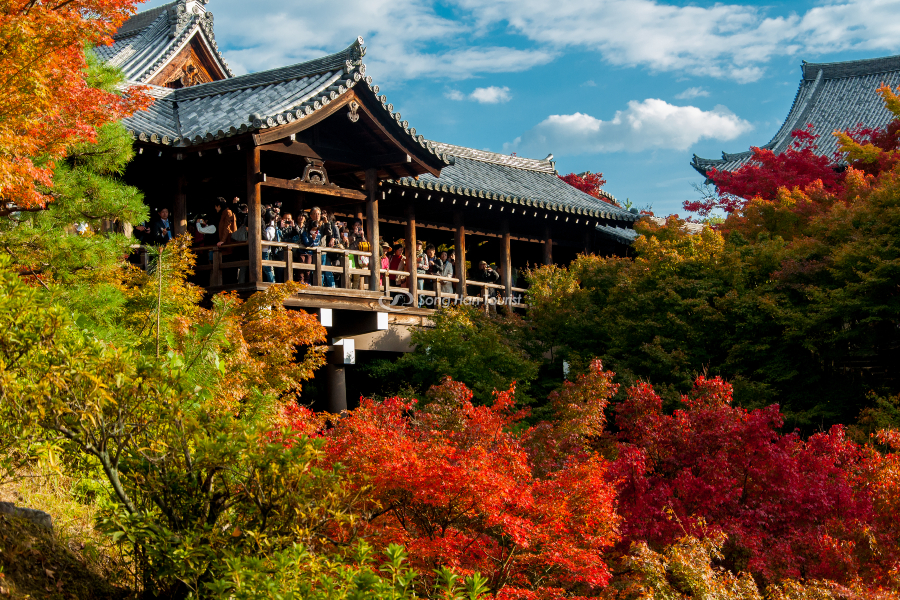 Nhiều du khách đón mùa lá đỏ Tokyo tại chùa Tofukuji