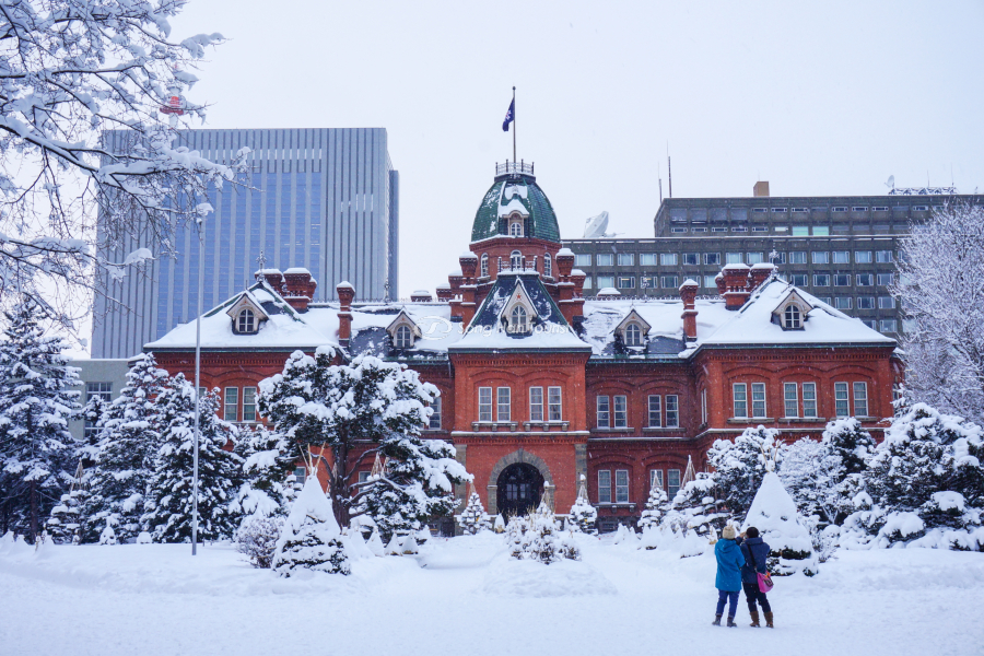 Nhiều du khách thích thú hình ảnh tòa nhà mùa đông 