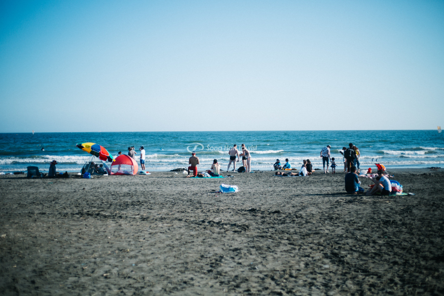 Nhiều hoạt động được diễn ra trên bãi biển