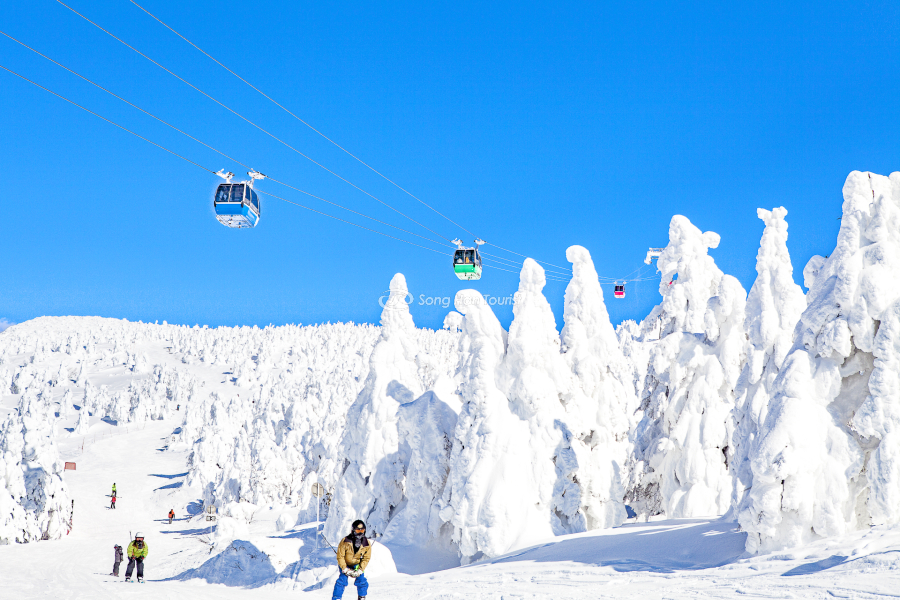 Nhiều người tham gia trượt tuyết tại Zao