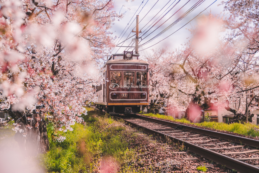 Những chuyến tàu đưa bạn đến cảnh đẹp bất tận của Nhật Bản 