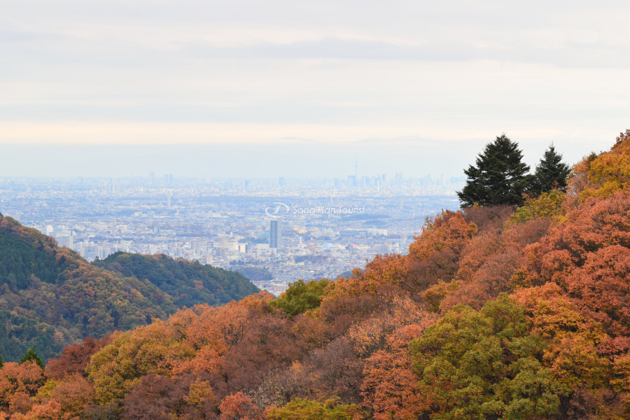 Núi Takao - Địa điểm ngắm lá đỏ ở Tokyo