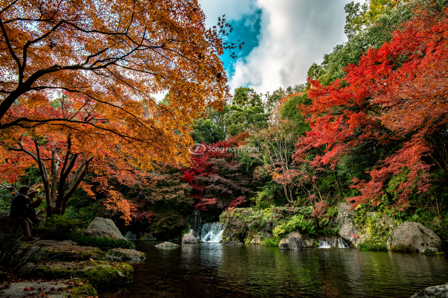 Sắc màu Osaka mùa thu tuyệt diệu 