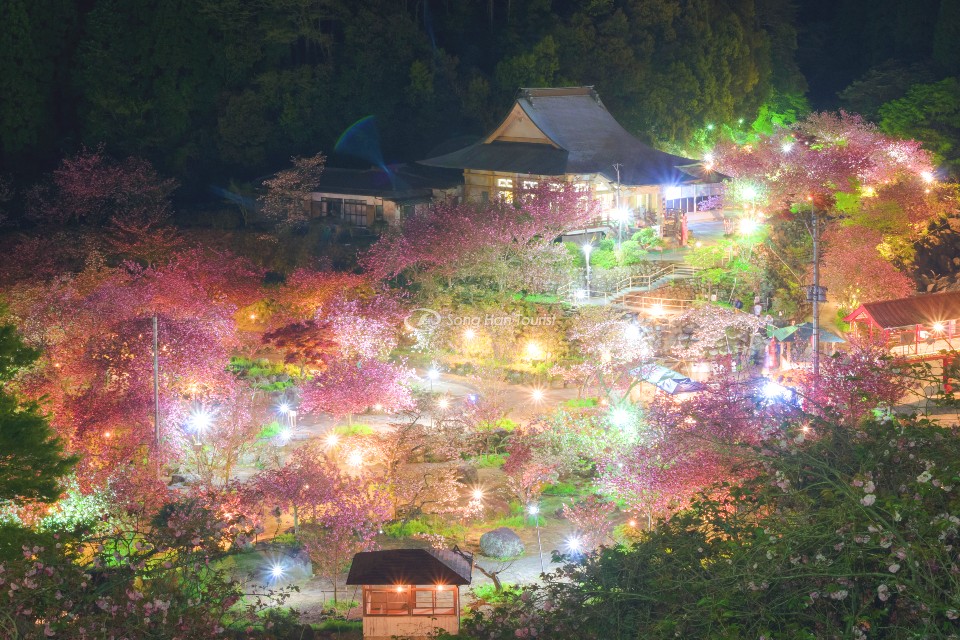Sự kiện thắp sáng vào ban đêm ở chùa Isshinji. (Nguồn: Internet)
