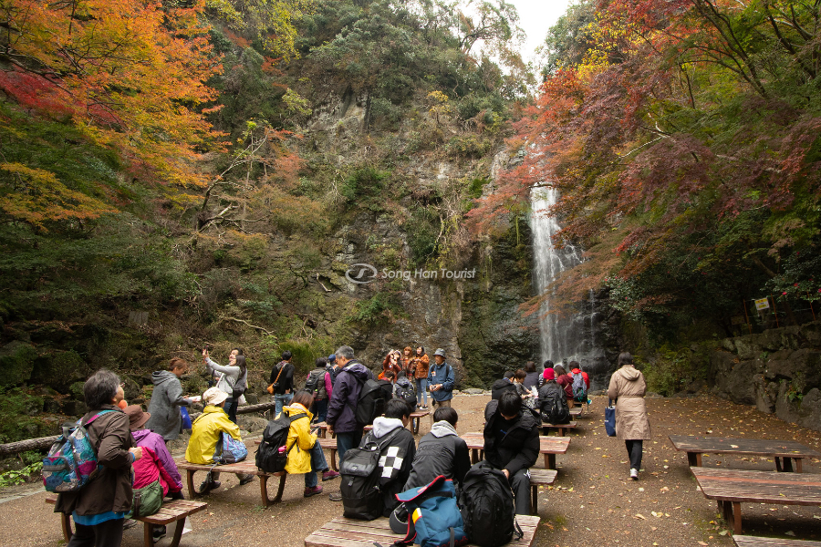 Thác Minoo là địa điểm ngắm lá đỏ ở Osaka được nhiều người yêu thích