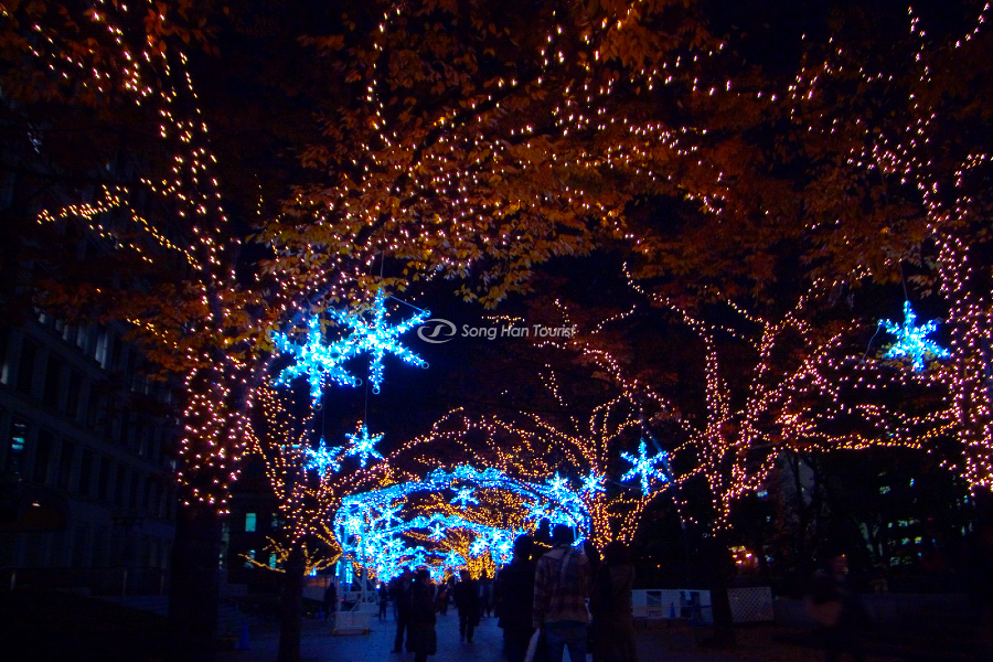 Tham gia lễ hội ánh sáng hoành tráng khi du lịch Osaka mùa đông