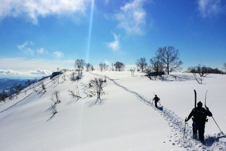 Tham gia trượt tuyết khi đến Niseko