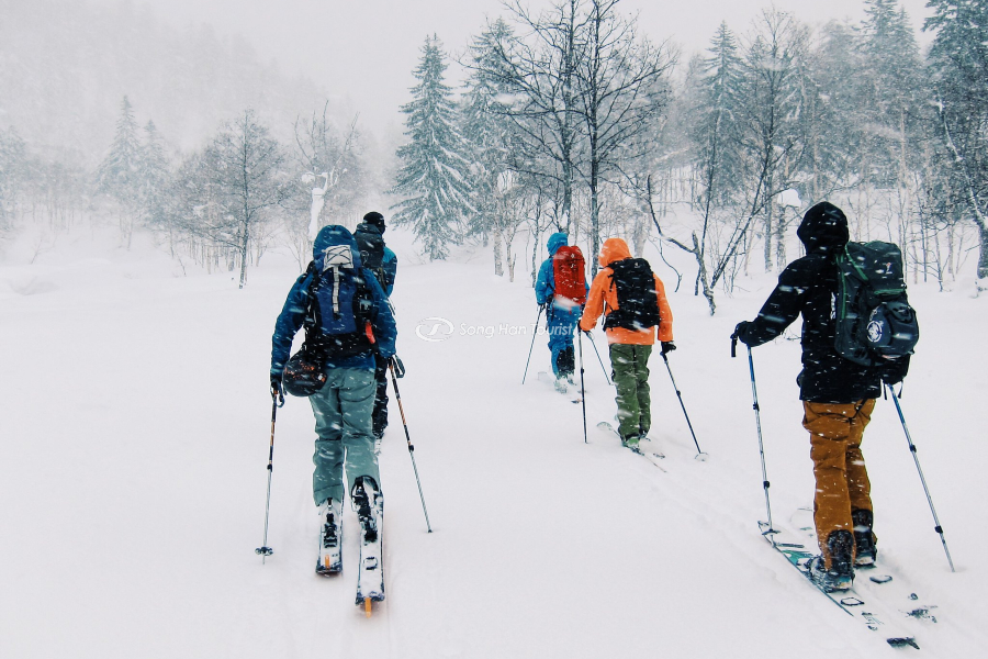 Tham gia trượt tuyết vào mùa đông Nhật Bản