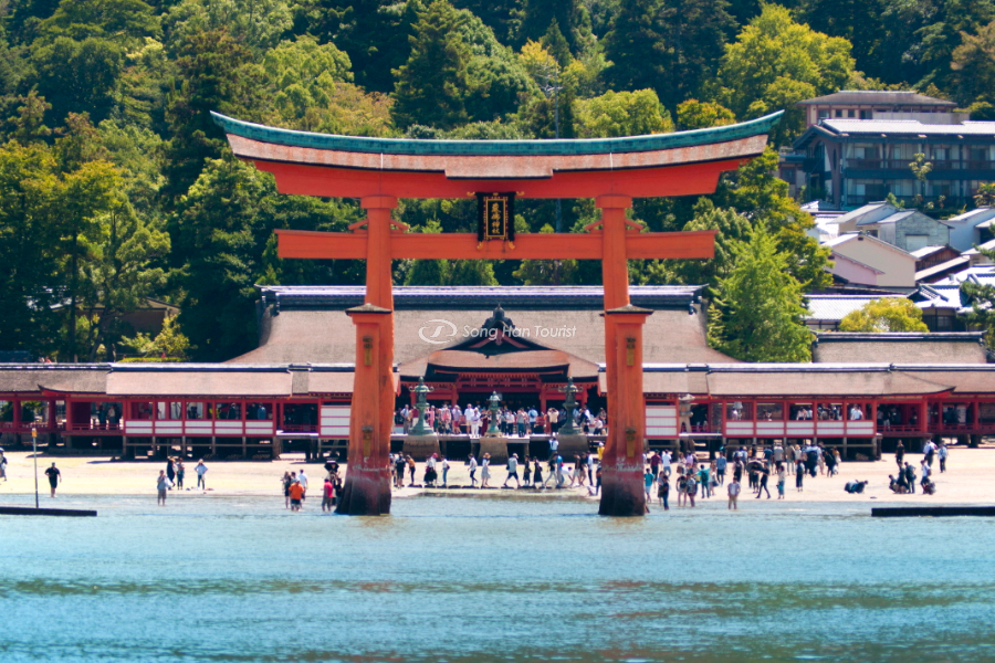 Thần xã Itsukushima với cánh cổng Torii huyền thoại 