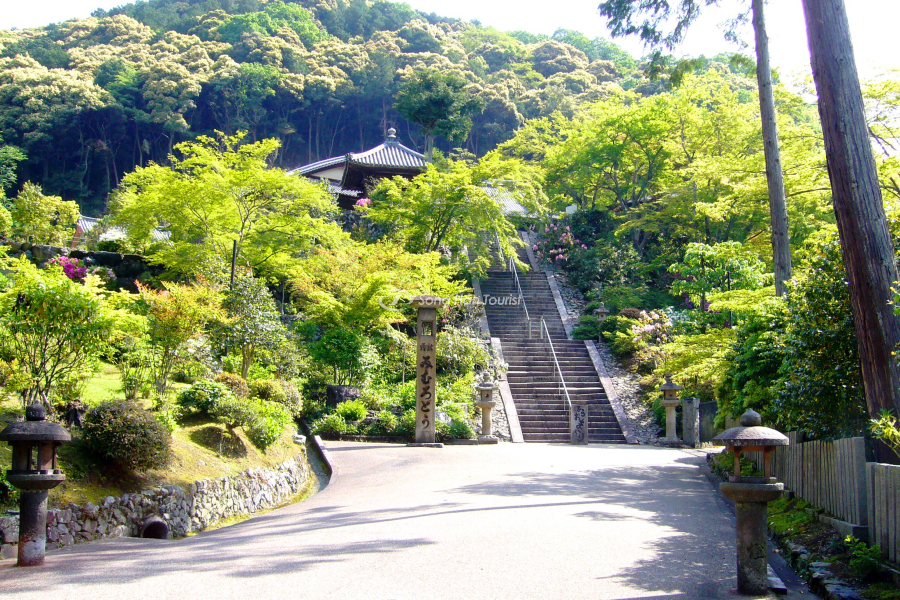 Thiên nhiên ban tặng cho vùng đất Kyoto những cảnh đẹp thơ mộng 