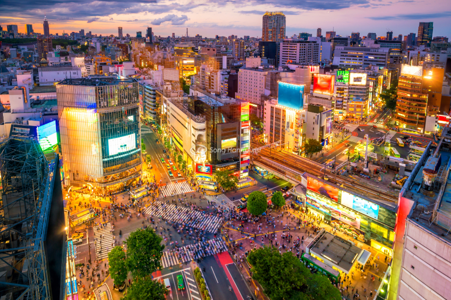Thủ đô Tokyo với nhiều khu phố nhộn nhịp, sầm uất