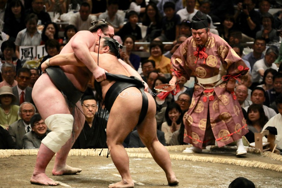 Thưởng thức giải đấu Sumo đầu năm 
