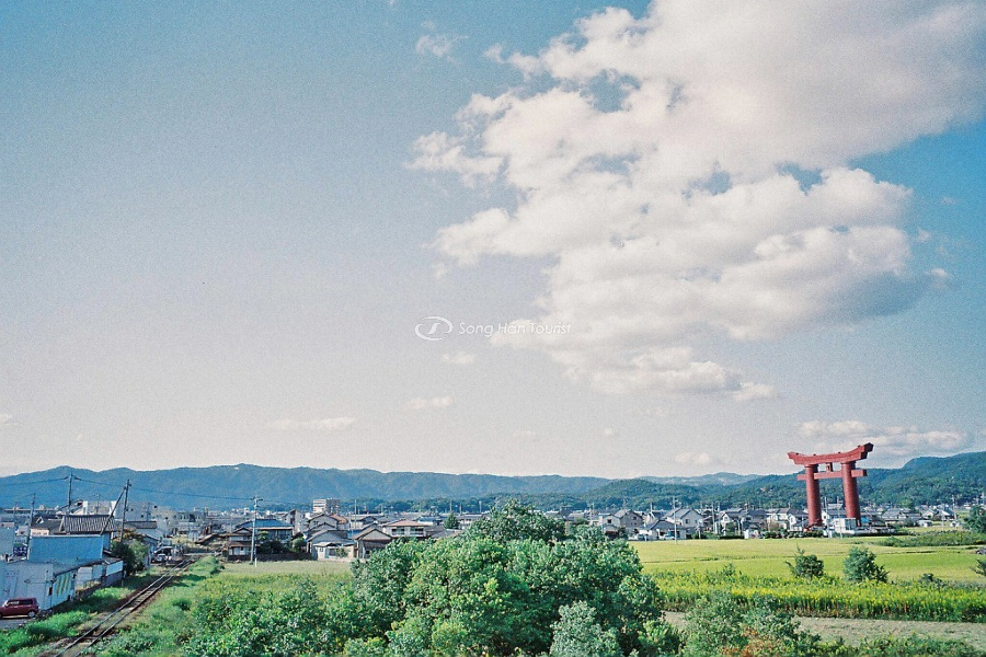 Toàn cảnh Saijo Inari với cổng torii huyền thoại 