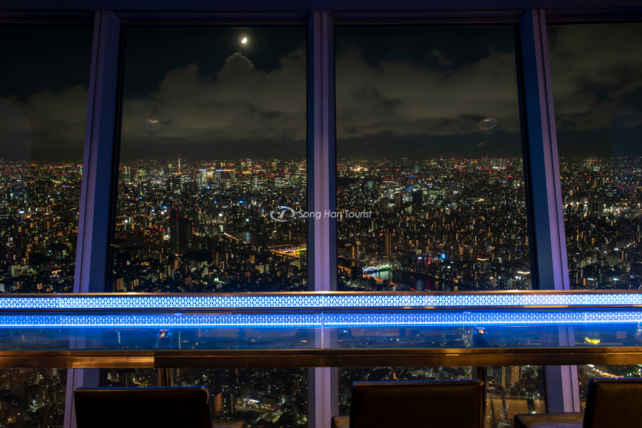 Colorful Tokyo panorama