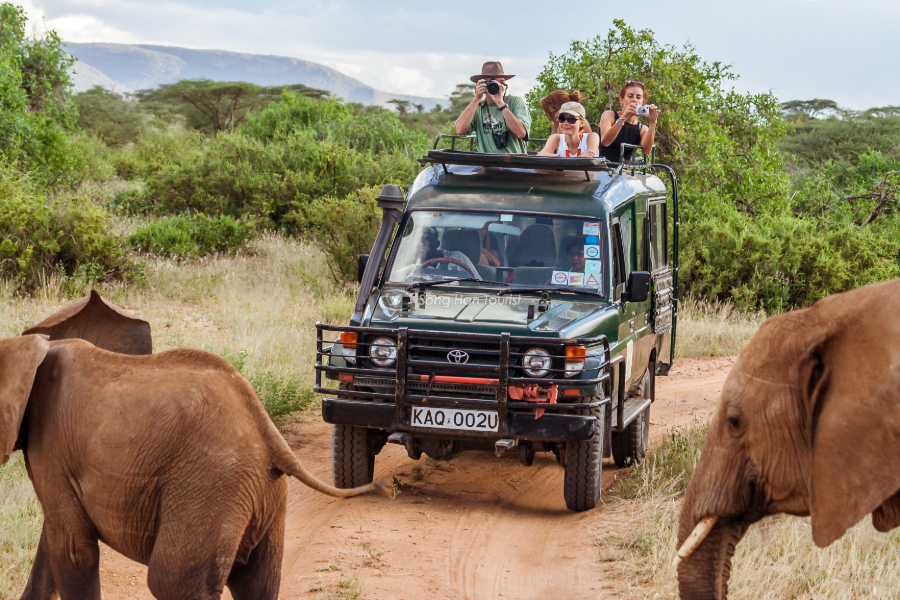 Tour Nhật Bản tham quan sở thú African Safari 