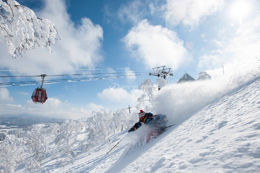 Trượt tuyết thoả thích khi du lịch Nhật Bản 