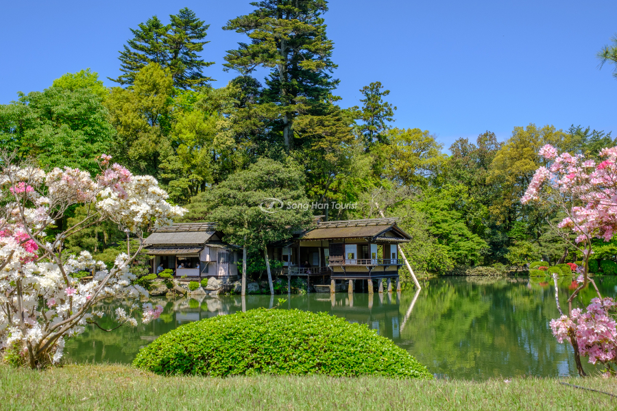 Vườn Kenrokuen một góc thơ mộng 